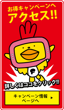 お得なキャンペーン