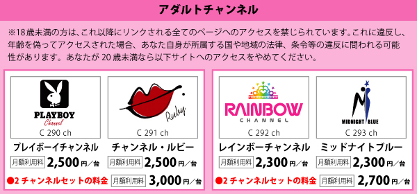 アダルトチャンネルメニュー