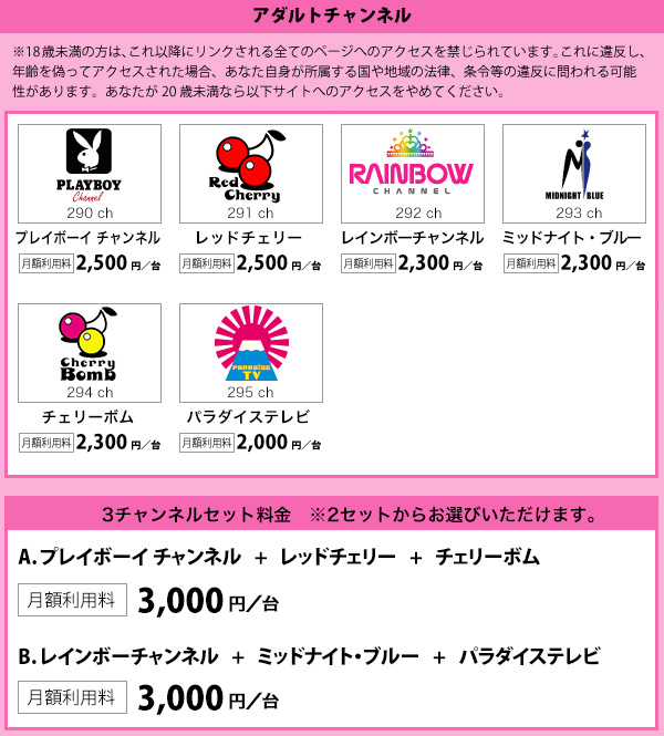 アダルトチャンネルメニュー