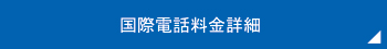 国際電話料金詳細