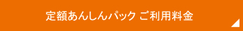 定額あんしんパック　ご利用料金